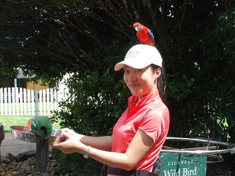 O'Reilly's Lamington National Park And Treetop Canopy Tour - Accommodation Directory 5