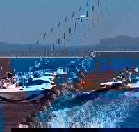Blue Dolphin Exclusive Whale Watch Encounters - Accommodation Directory