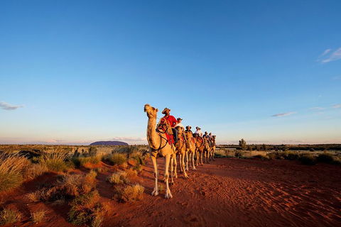 Uluru Small-Group Tour By Camel At Sunrise Or Sunset - Accommodation Directory 0
