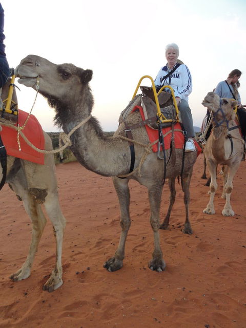 Uluru Small-Group Tour By Camel At Sunrise Or Sunset - Accommodation Directory 2