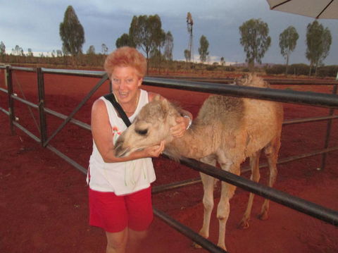 Uluru Small-Group Tour By Camel At Sunrise Or Sunset - Accommodation Directory 18