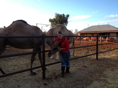 Uluru Small-Group Tour By Camel At Sunrise Or Sunset - Accommodation Directory 21