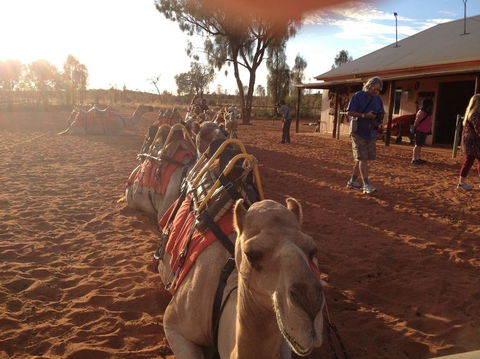 Uluru Small-Group Tour By Camel At Sunrise Or Sunset - Accommodation Directory 22