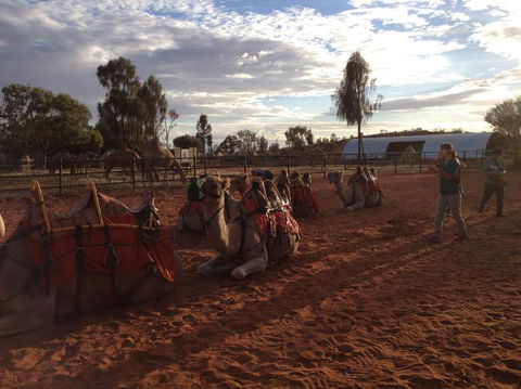 Uluru Small-Group Tour By Camel At Sunrise Or Sunset - Accommodation Directory 23
