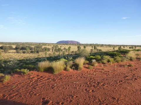 Uluru Small-Group Tour By Camel At Sunrise Or Sunset - Accommodation Directory 9