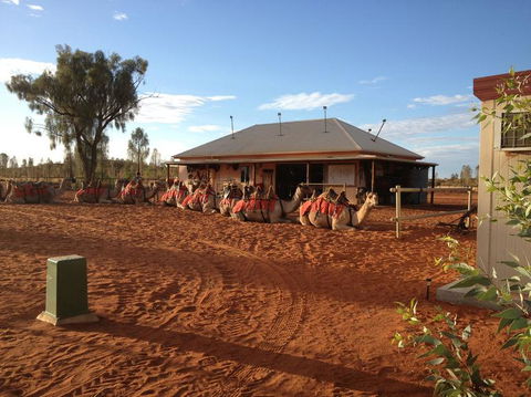 Uluru Small-Group Tour By Camel At Sunrise Or Sunset - Accommodation Directory 19
