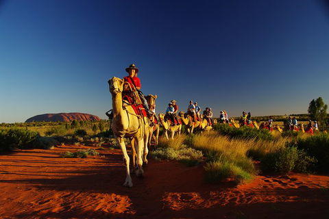 Uluru Small-Group Tour By Camel At Sunrise Or Sunset - Accommodation Directory 29
