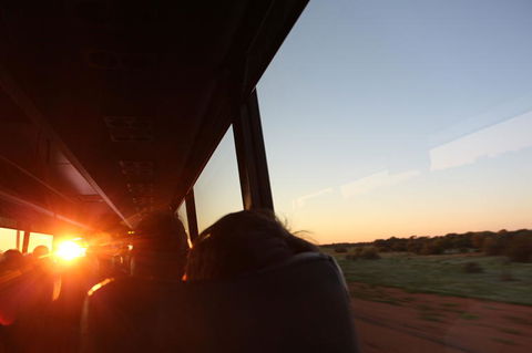 Kings Canyon Day Trip From Ayers Rock - Accommodation Directory 22