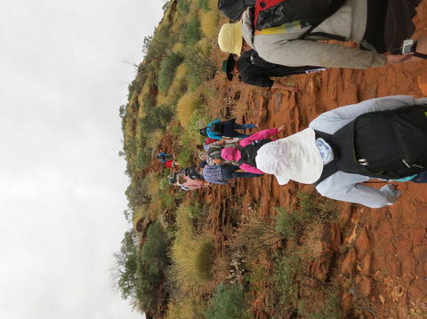 Kings Canyon Day Trip From Ayers Rock - Accommodation Directory 14
