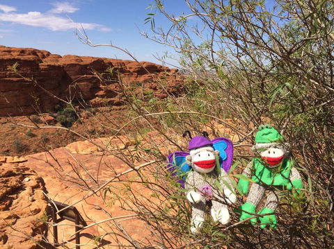 Kings Canyon Day Trip From Ayers Rock - Accommodation Directory 23