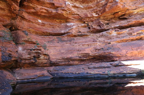 Kings Canyon Day Trip From Ayers Rock - Accommodation Directory 16