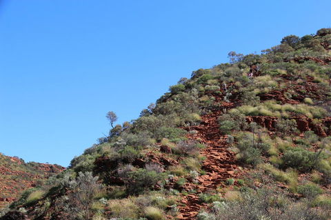 Kings Canyon Day Trip From Ayers Rock - Accommodation Directory 21