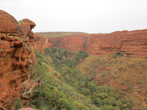 Kings Canyon Day Trip From Ayers Rock - Accommodation Directory 13