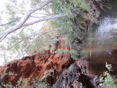 Kings Canyon Day Trip From Ayers Rock - Accommodation Directory 11