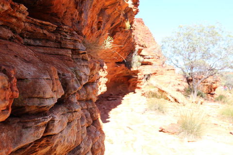 Kings Canyon Day Trip From Ayers Rock - Accommodation Directory 20