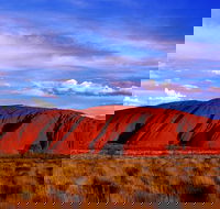 Uluru and Kata Tjuta Experience with BBQ Dinner - Accommodation Directory