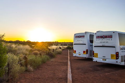 Uluru And Kata Tjuta Experience With BBQ Dinner - Accommodation Directory 4