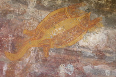 Kakadu Full-Day Tour From Darwin With Lunch - Accommodation Directory 4