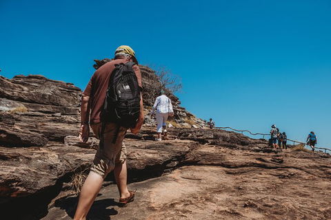 Kakadu Full-Day Tour From Darwin With Lunch - Accommodation Directory 5