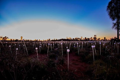 Uluru Field Of Light Sunrise Tour - Accommodation Directory 8