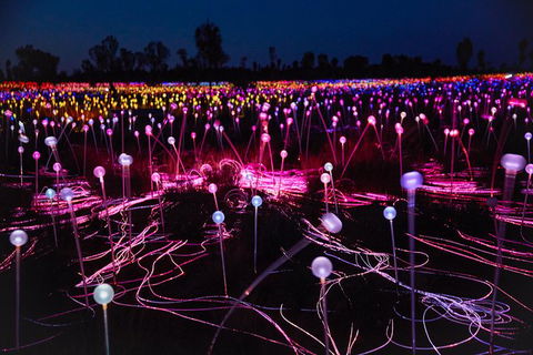 Uluru Field Of Light Sunrise Tour - Accommodation Directory 13
