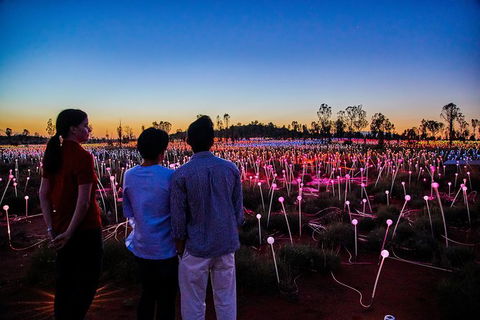 Uluru Field Of Light Sunrise Tour - Accommodation Directory 5