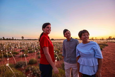 Uluru Field Of Light Sunrise Tour - Accommodation Directory 11