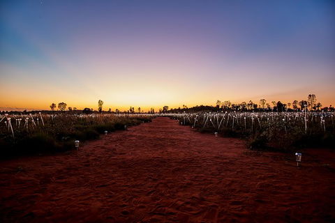 Uluru Field Of Light Sunrise Tour - Accommodation Directory 14