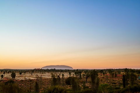 Uluru Field Of Light Sunrise Tour - Accommodation Directory 12