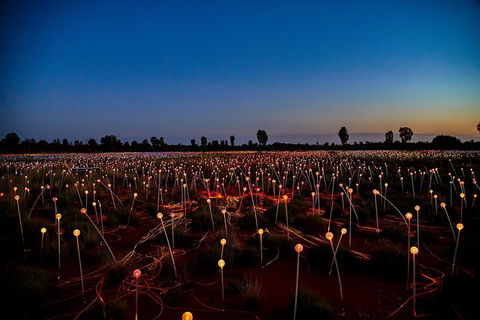 Uluru Field Of Light Sunrise Tour - Accommodation Directory 7