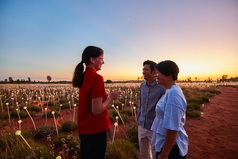 Uluru Field Of Light Sunrise Tour - Accommodation Directory 9
