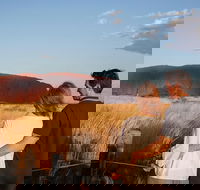 Uluru Ayers Rock Sunset with Outback Barbecue Dinner and Star Tour - Accommodation Directory