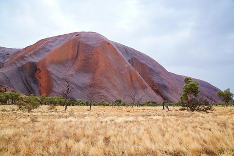 Uluru Base And Sunset Half-Day Trip With Optional Outback BBQ Dinner - Accommodation Directory 10