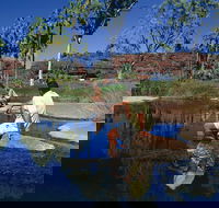 Palm Valley 4WD Tour - Accommodation Directory