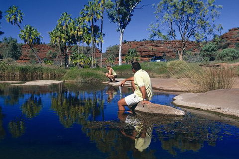 Palm Valley 4WD Tour - Accommodation Directory 0