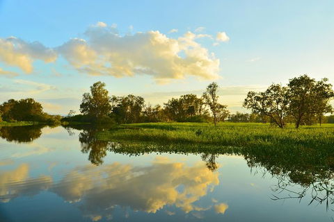 Kakadu National Park Scenic Flight & Cruise - Accommodation Directory 13