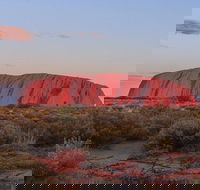 3-Day Uluru Camping Tour from Alice Springs Including Kata Tjuta and Kings Canyon - Accommodation Directory