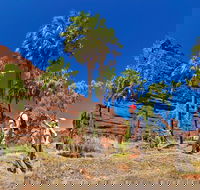 Palm Valley 4WD Tour from Alice Springs - Accommodation Directory