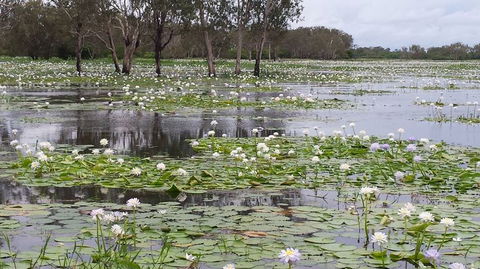 Kakadu, Nourlangie And Yellow Waters Tour From Darwin - Accommodation Directory 12