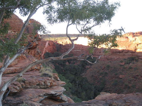 3-Day Uluru And Kings Canyon Camping Experience From Alice Springs Including Outback BBQ Dinner - Accommodation Directory 1