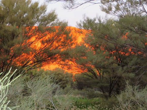 3-Day Ayers Rock, Olgas And Kings Canyon Camping Safari - Accommodation Directory 6