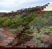 Palm Valley and Hermannsburg 1 Day 4WD Tour - Accommodation Directory