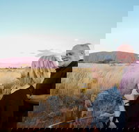 2-Day Uluru Ayers Rock and Kata Tjuta Trip from Alice Springs - Accommodation Directory