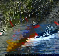 Kayak and SUP Guided Tours - Accommodation Directory