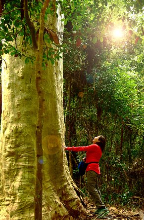 3 Day Murramarang Coast Journey From Batemans Bay With Meals And Villa Accom - Accommodation Directory 4