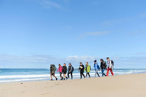 3 Day Murramarang Coast Journey From Batemans Bay With Meals And Villa Accom - Accommodation Directory 7