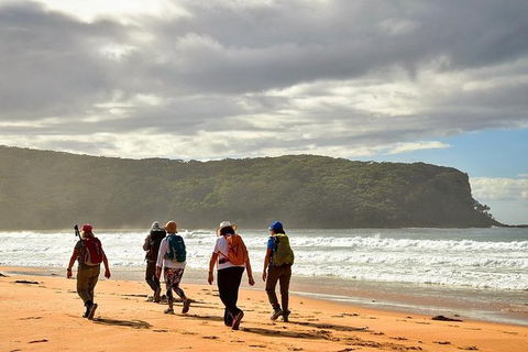 3 Day Murramarang Coast Journey From Batemans Bay With Meals And Villa Accom - Accommodation Directory 5