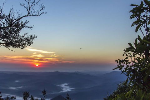 Byron Bay Kayaking With Dolphins And Mount Warning Sunrise Climb Including Overnight Camping And BBQ Dinner - Accommodation Directory 1