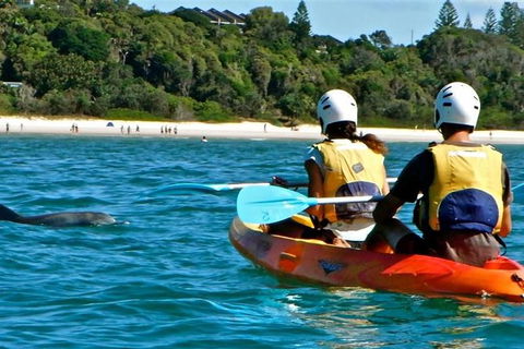 Byron Bay Kayaking With Dolphins And Mount Warning Sunrise Climb Including Overnight Camping And BBQ Dinner - Accommodation Directory 9