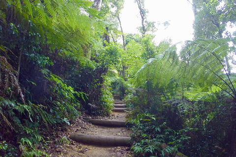 Byron Bay Kayaking With Dolphins And Mount Warning Sunrise Climb Including Overnight Camping And BBQ Dinner - Accommodation Directory 5
